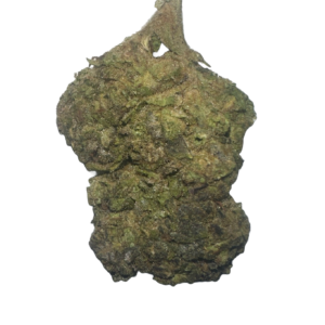 obama runtz