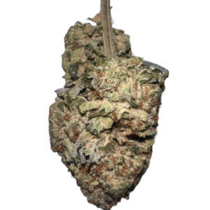 kosher strain