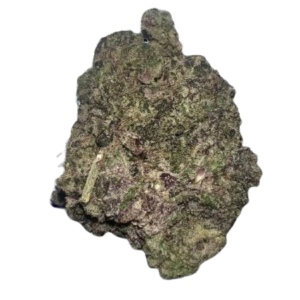 Zushi Strain